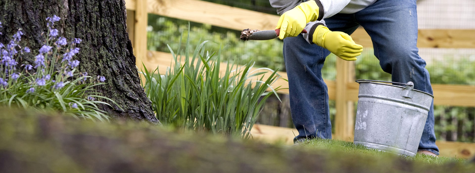 Tree Care Fertilization for North Chicago, IL | Hendricksen Tree Care